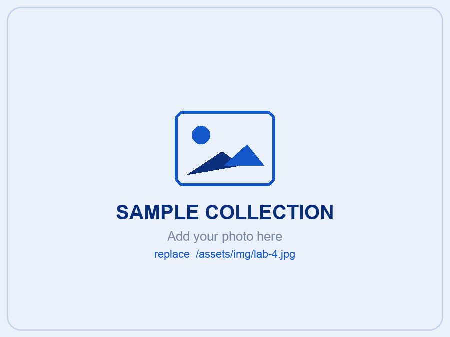 Sample collection at Medicare Lab